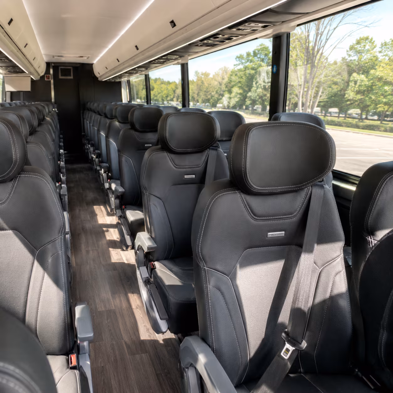 roswell concert transportation onboard seating
