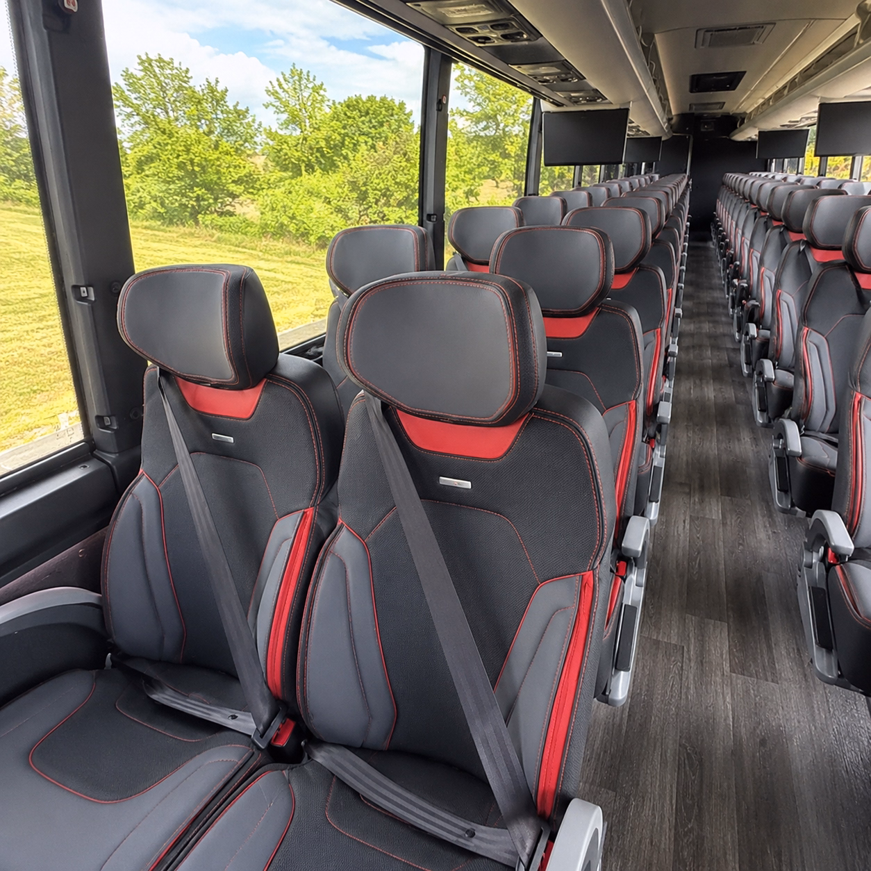 roswell long distance transportation